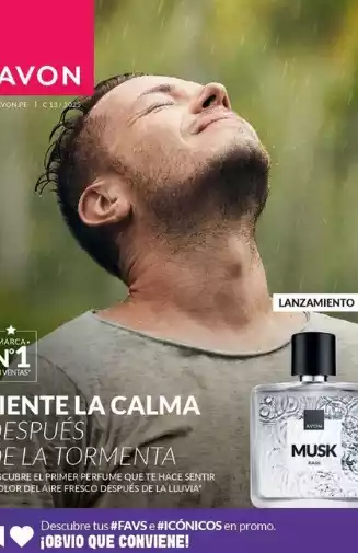 catalogo Avon campaña 13 2025